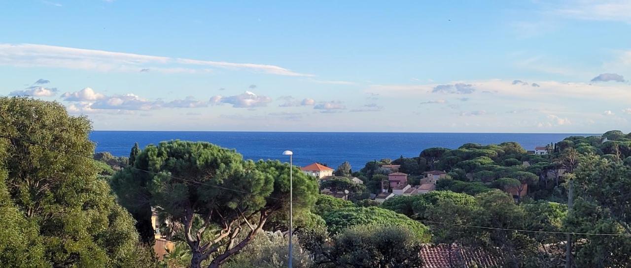 Villa Palm' Issambres 6-8 personnes avec piscine et jardin privés La Garonnette-Plage Exterior foto