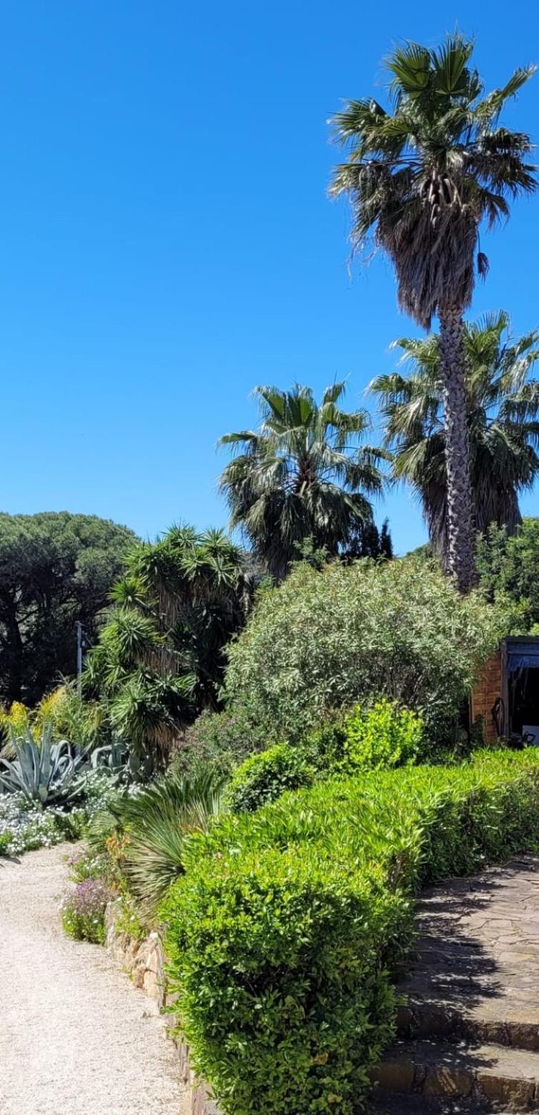 Villa Palm' Issambres 6-8 personnes avec piscine et jardin privés La Garonnette-Plage Exterior foto